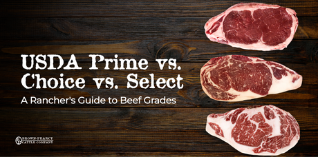 USDA Prime vs. Choice vs. Select: Which Beef Grade Should You Actually Buy?
