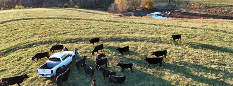 Why Buying Direct from Farmers Is the Best Choice for Your Table