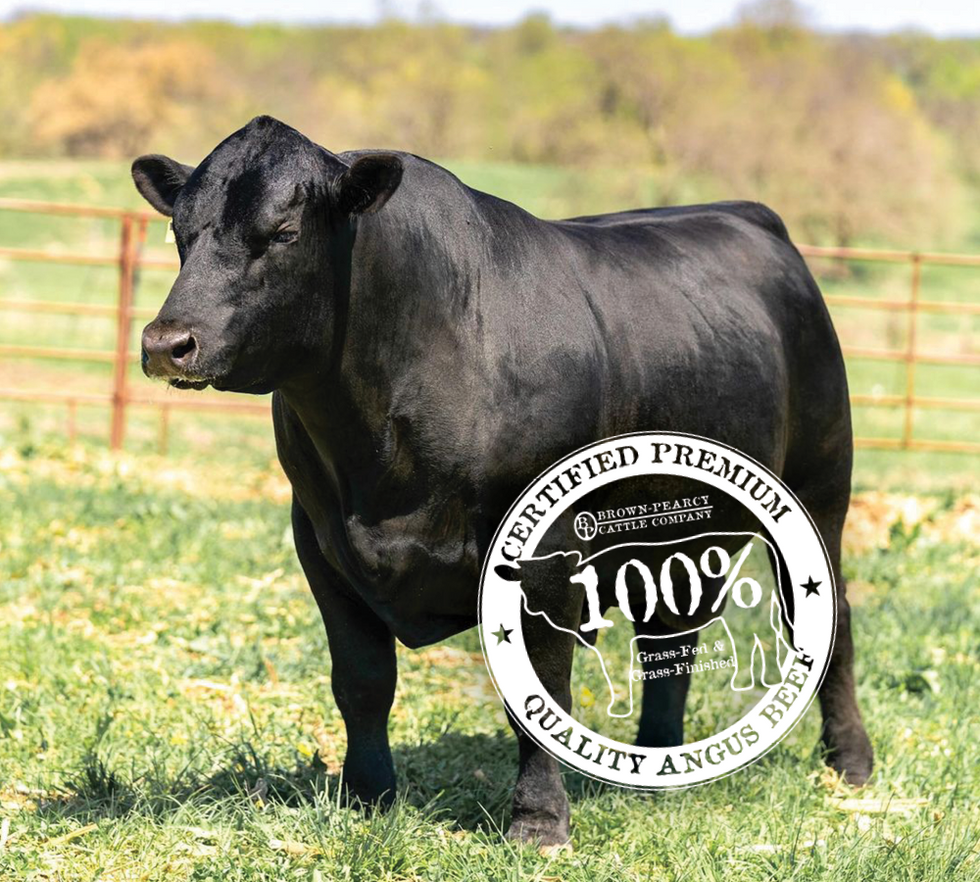 Prime Angus Beef

